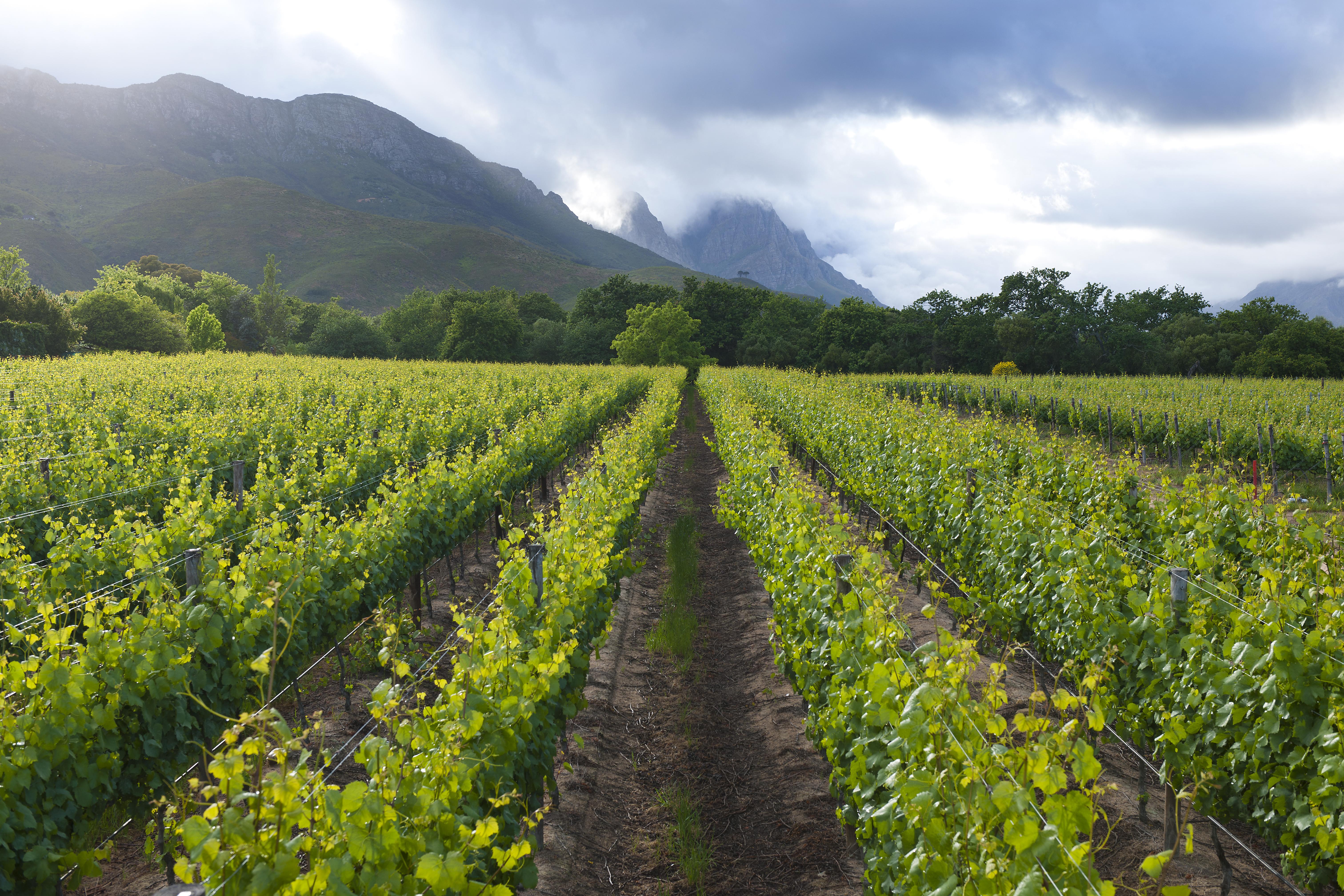 Lanzerac Hotel & Spa Stellenbosch Buitenkant foto