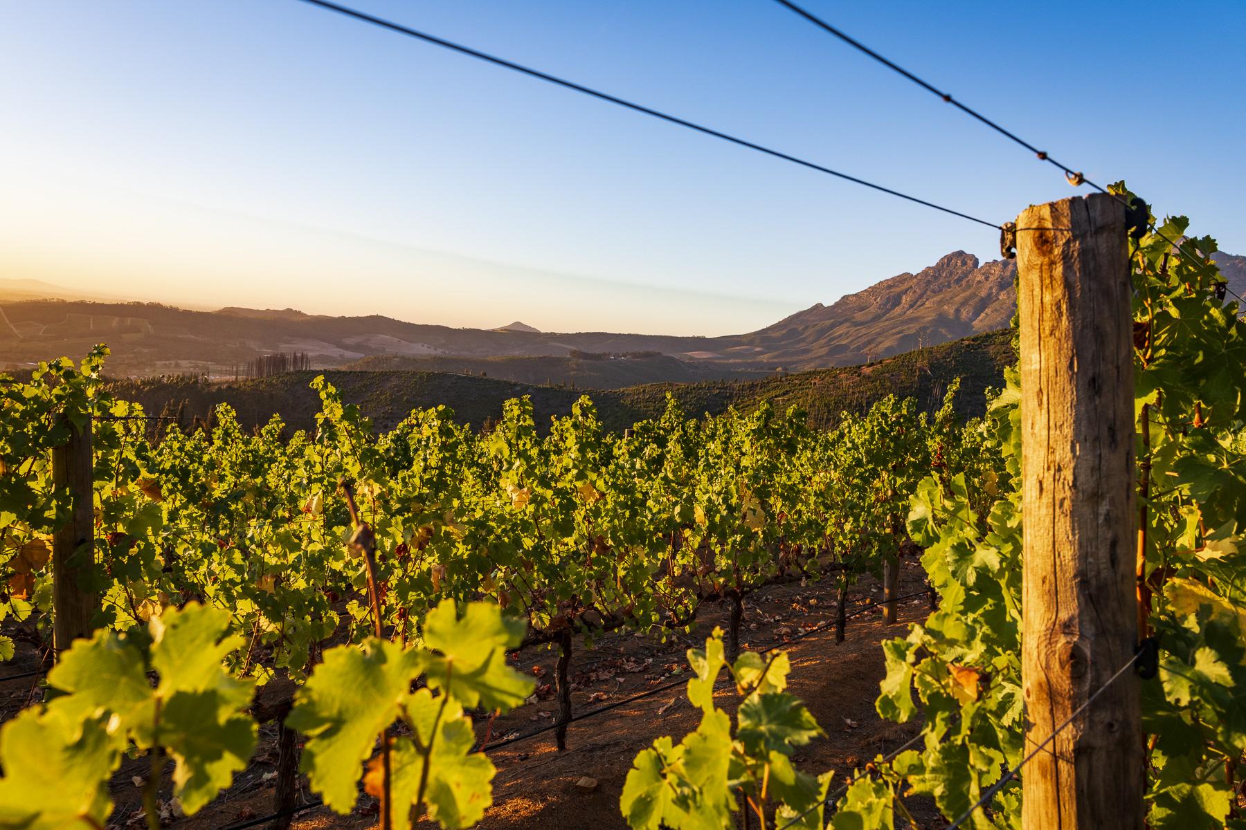 Lanzerac Hotel & Spa Stellenbosch Buitenkant foto