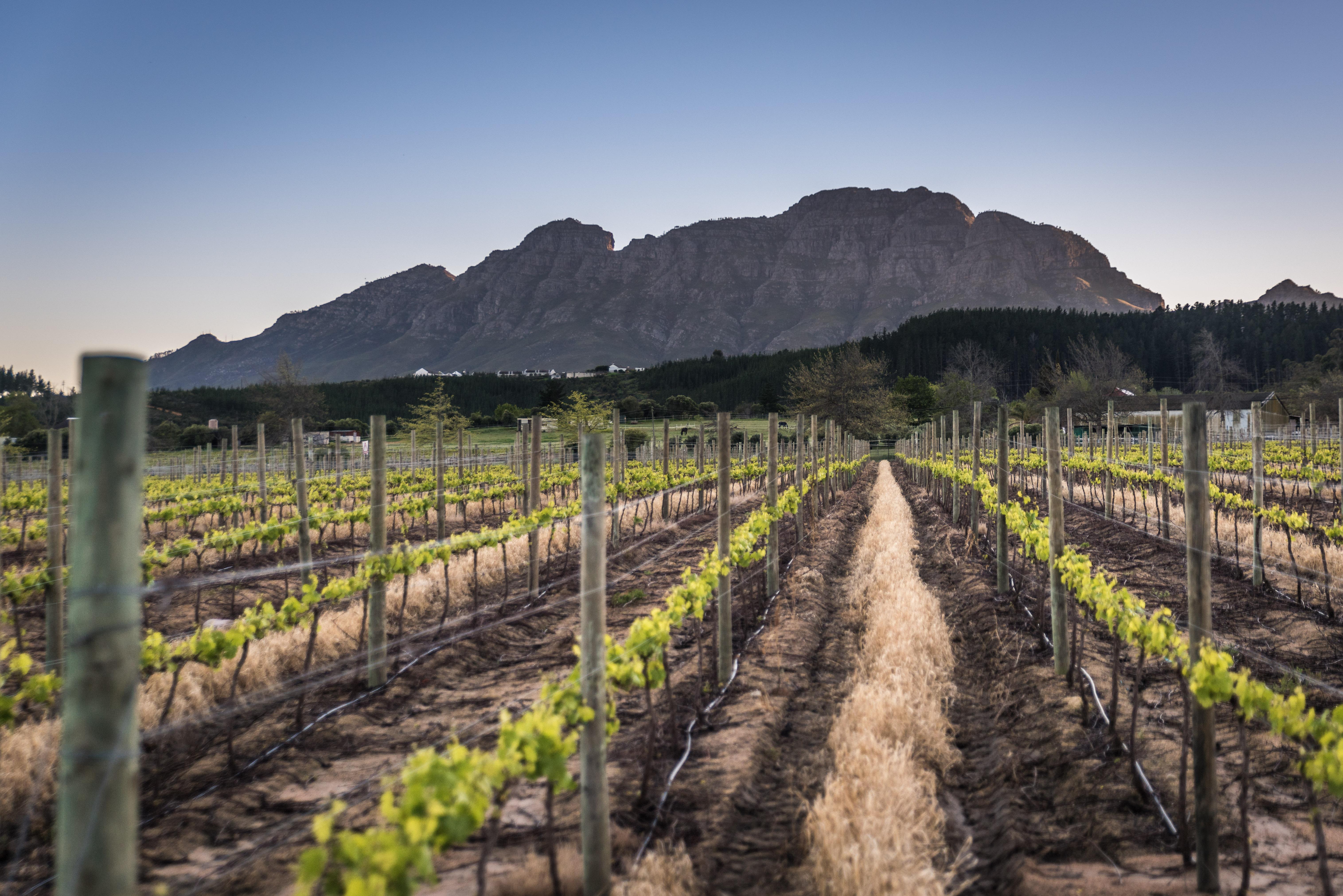 Lanzerac Hotel & Spa Stellenbosch Buitenkant foto