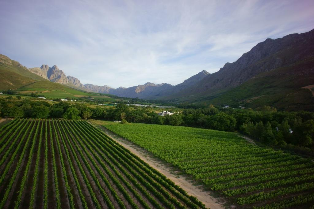 Lanzerac Hotel & Spa Stellenbosch Buitenkant foto